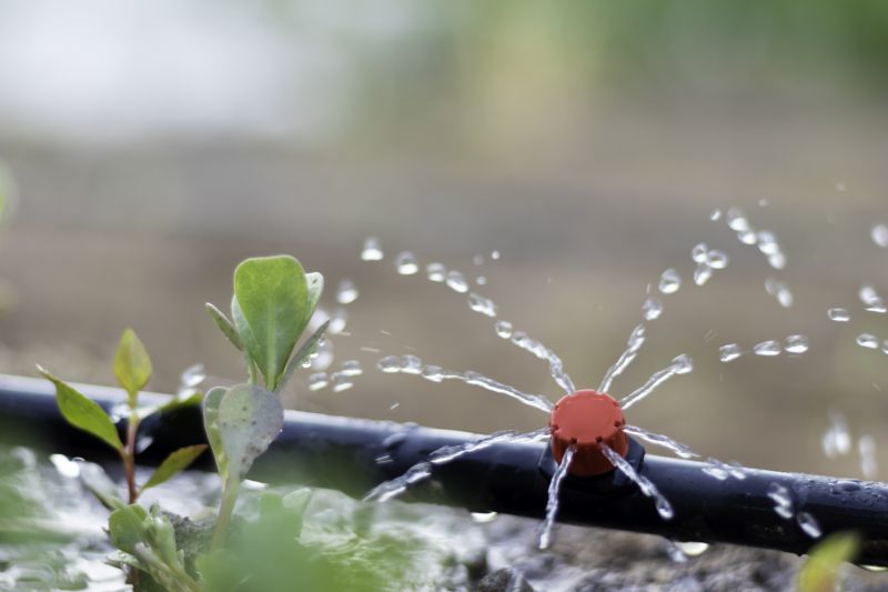 Yard Irrigation Installation in Ventura County, CA